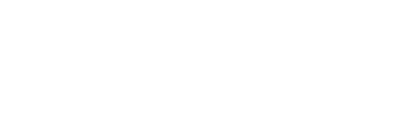 Vidya — The Living School